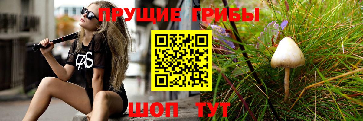 купить наркоту  Псилоцибиновые грибы Cubensis  Вход с VPN  Магнитогорск 