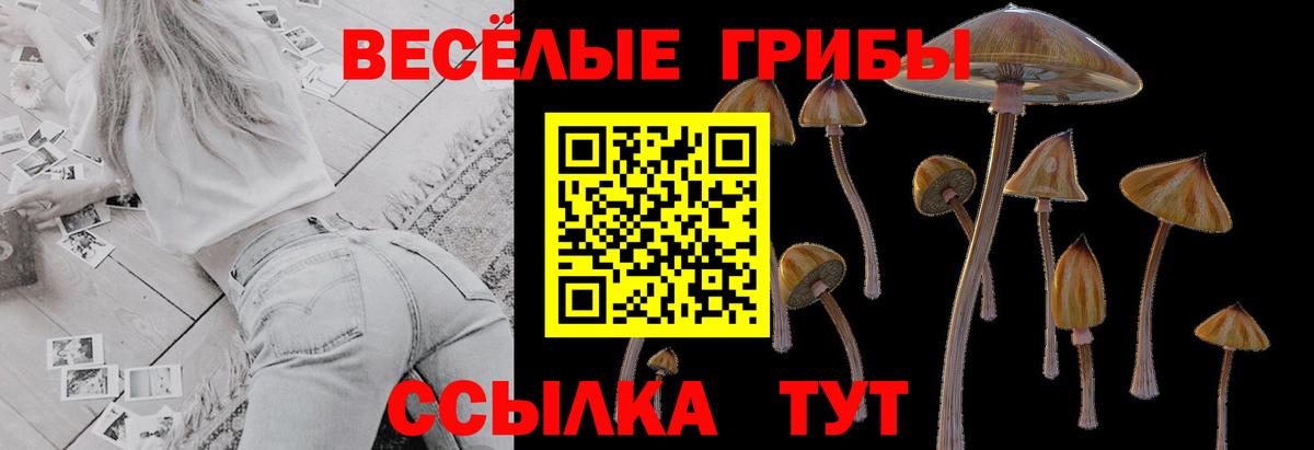 Псилоцибиновые грибы мухоморы Магнитогорск